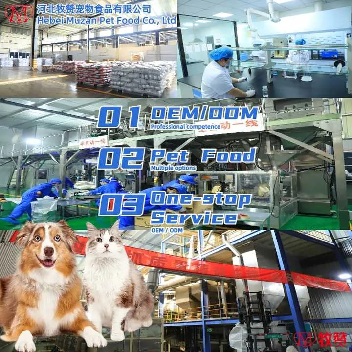طعام كلب جاف OEM ODM 5 كجم 10 كجم طعام للحيوانات الأليفة للبيع بالجملة طعام للكلاب الأليفة عالي الجودة بعلامة خاصة OEM ODM Dry Dog Food 5kg 10kg Pet Food Wholesale High Quality Private Label Pet Dog Food