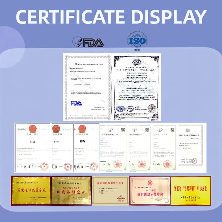 طعام كلب جاف OEM ODM 5 كجم 10 كجم طعام للحيوانات الأليفة للبيع بالجملة طعام للكلاب الأليفة عالي الجودة بعلامة خاصة OEM ODM Dry Dog Food 5kg 10kg Pet Food Wholesale High Quality Private Label Pet Dog Food
