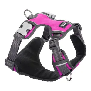 Dog Harness by Red Dingo Padded l Fuchsia