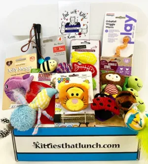 Kitty - Mystery Toy Box