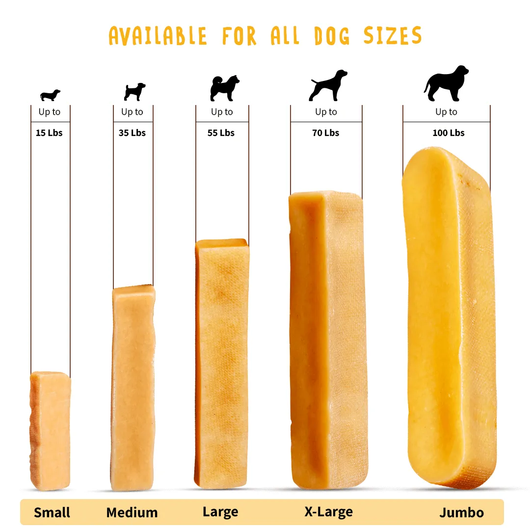 Long Lasting Medium Yak Chews for Dogs