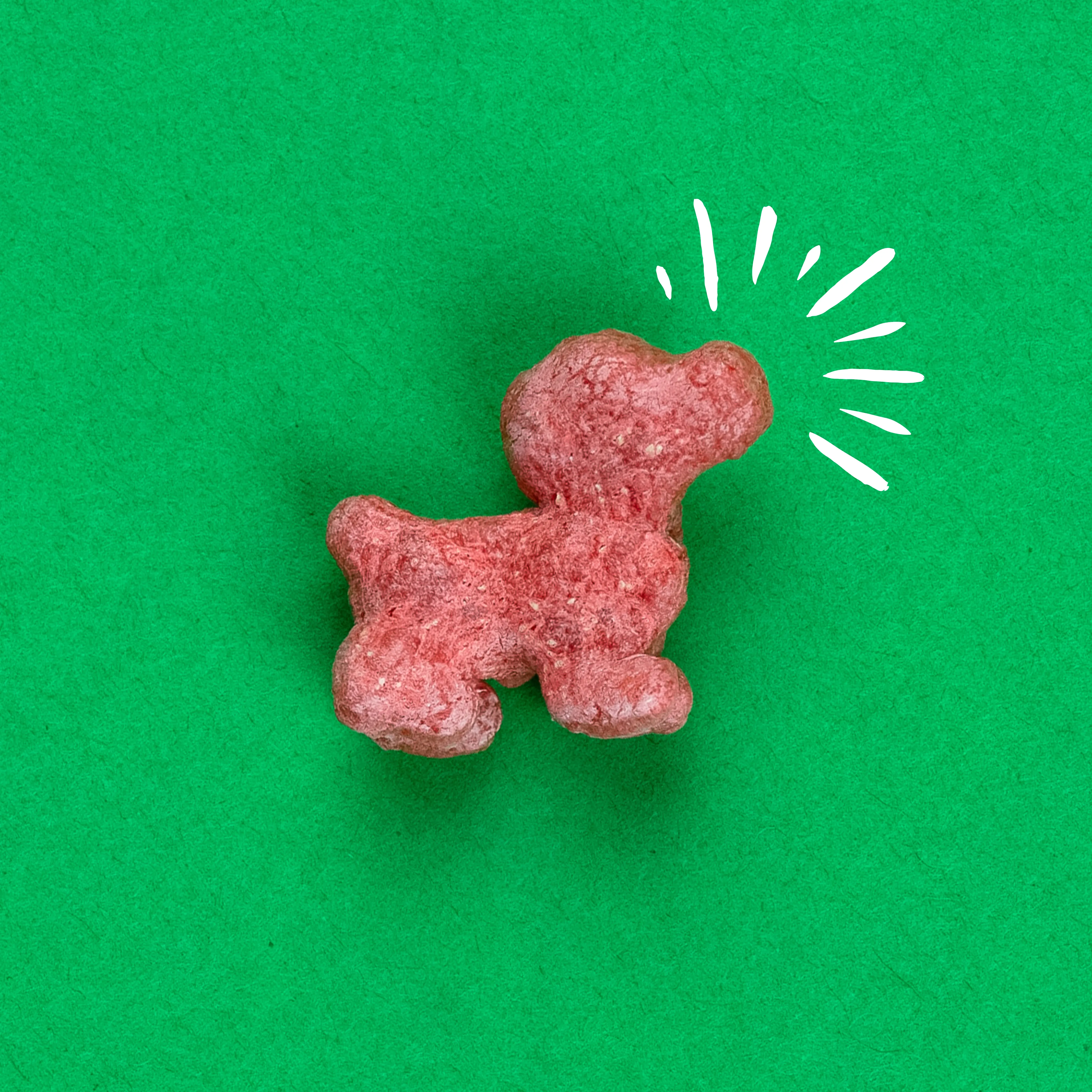 Pup Corn Plus with Salmon & Sweet Potato Multipack Puffed Dog Treats