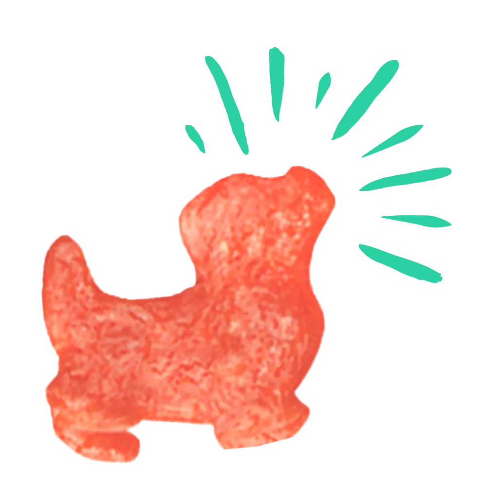 Pup Corn Plus with Salmon & Sweet Potato Multipack Puffed Dog Treats