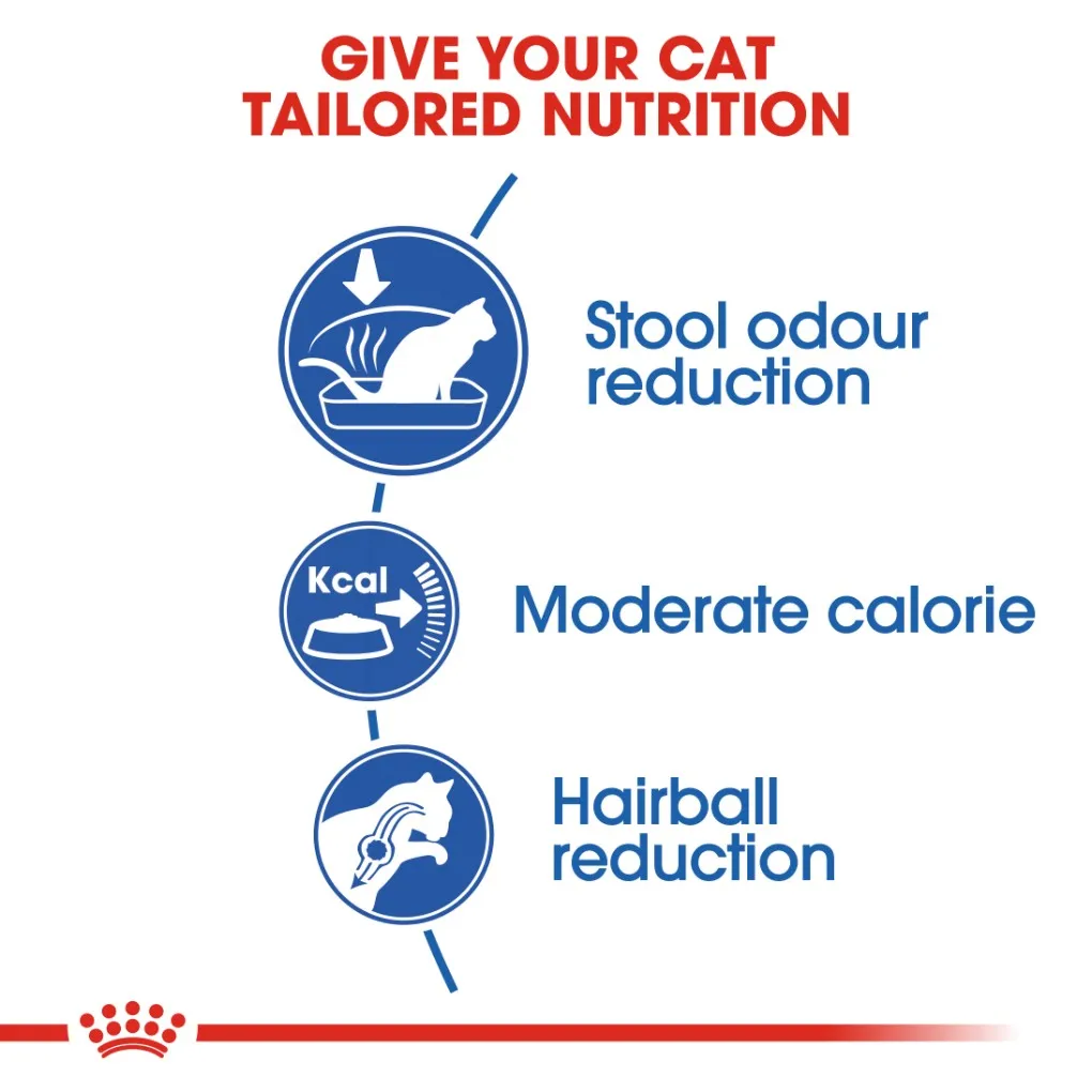 Royal Canin Indoor Adult Cat
