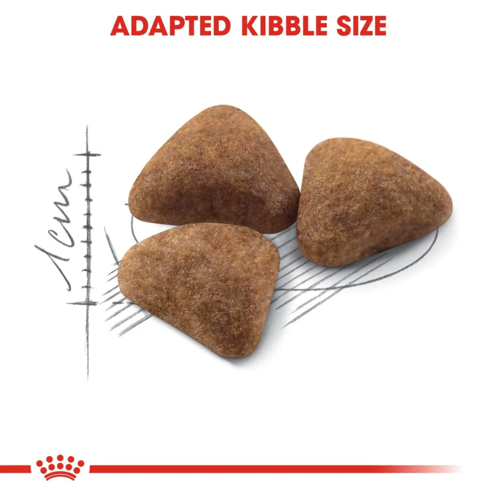 Royal Canin Indoor Adult Cat
