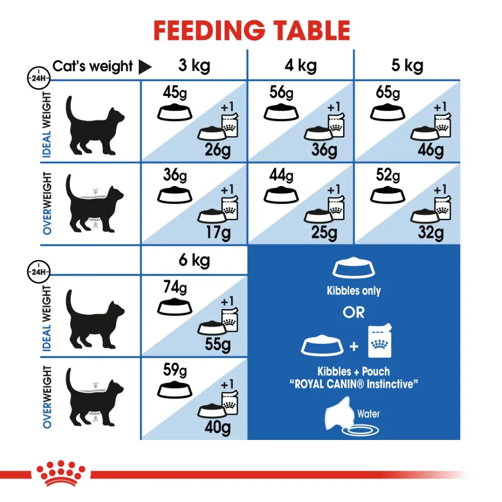 Royal Canin Indoor Adult Cat
