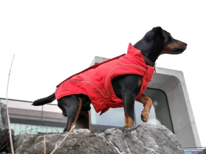 Warm Winter Coat for Dogs w/ Fleece Lining, Red, XS - 4XL